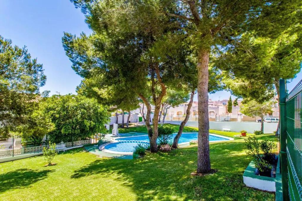 Apartament Casa Del Gato Rojo , Communal Swimming Pool , Terrace With Barbecue Τορεβιέχα Εξωτερικό φωτογραφία