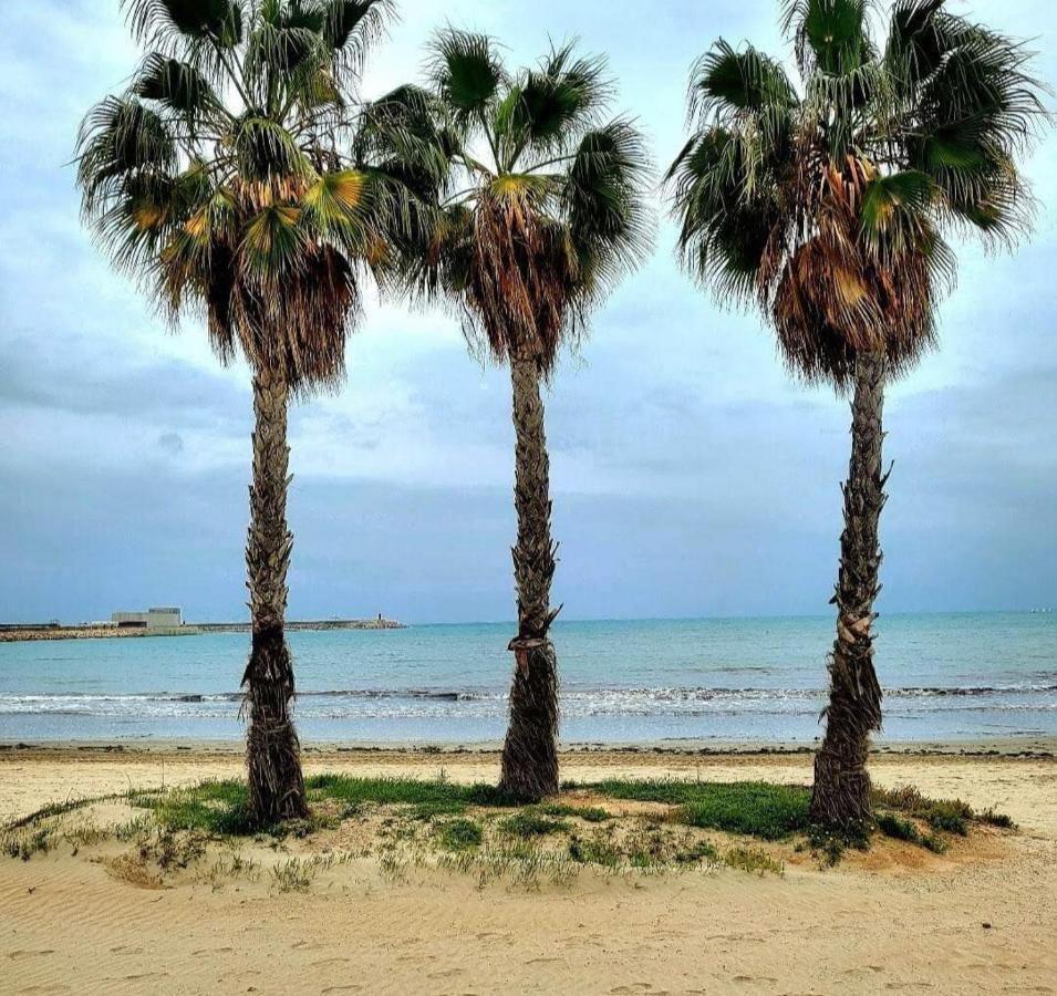 Apartament Casa Del Gato Rojo , Communal Swimming Pool , Terrace With Barbecue Τορεβιέχα Εξωτερικό φωτογραφία
