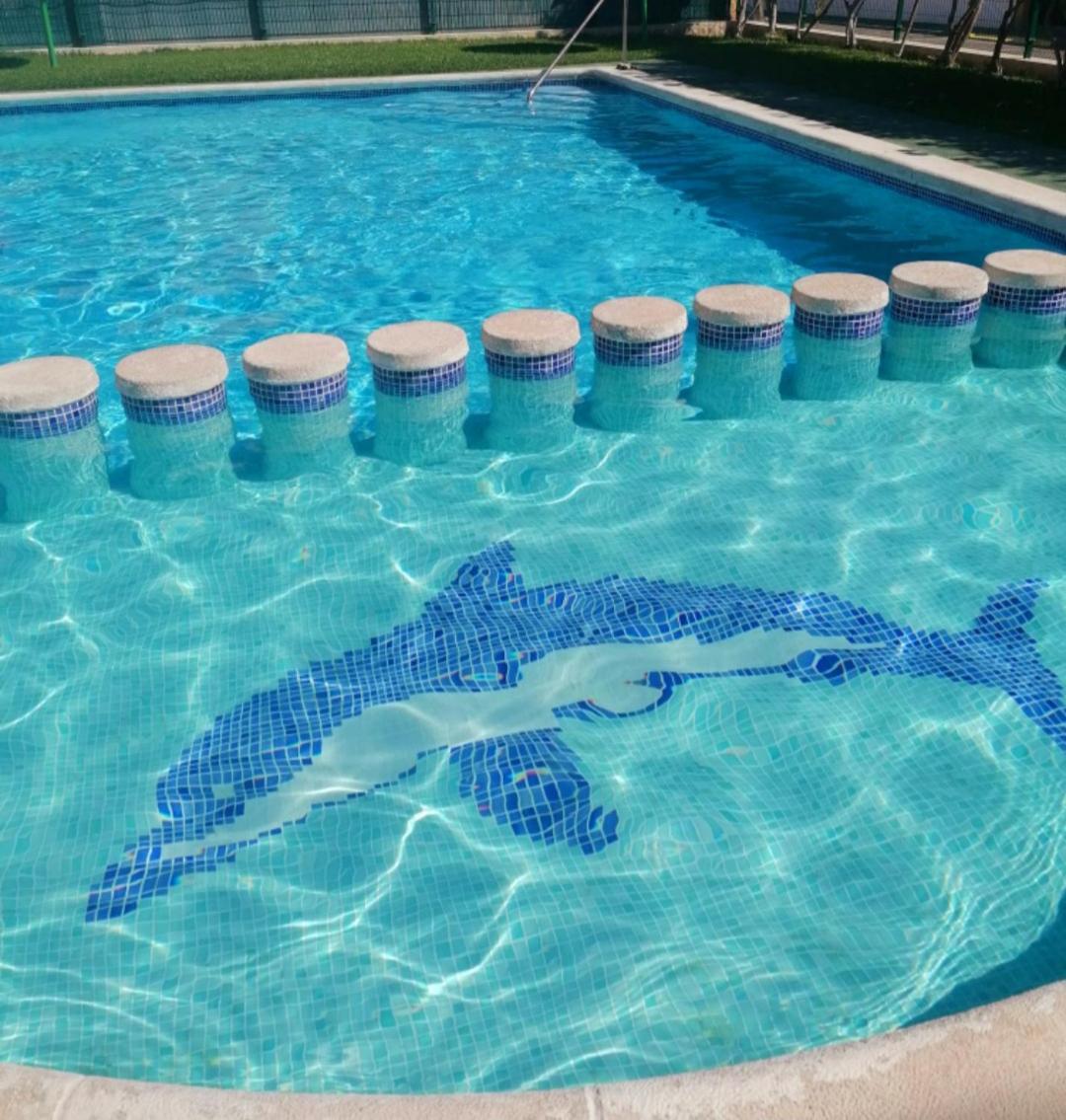 Apartament Casa Del Gato Rojo , Communal Swimming Pool , Terrace With Barbecue Τορεβιέχα Εξωτερικό φωτογραφία
